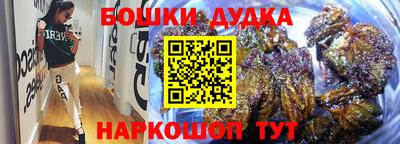 индика Будённовск