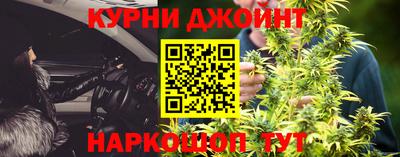 индика Будённовск