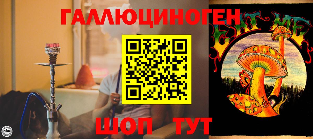 Ногинск  Галлюциногенные грибы прущие грибы  Вход с VPN  Галлюциногенные грибы Cubensis 